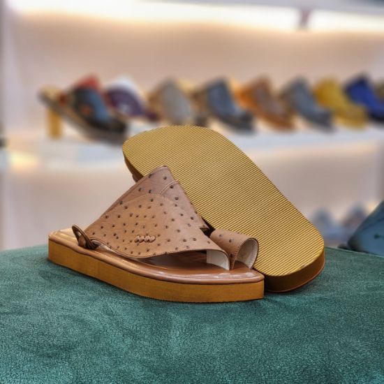 صورة زبيري وطني جلد نعام مديل س62